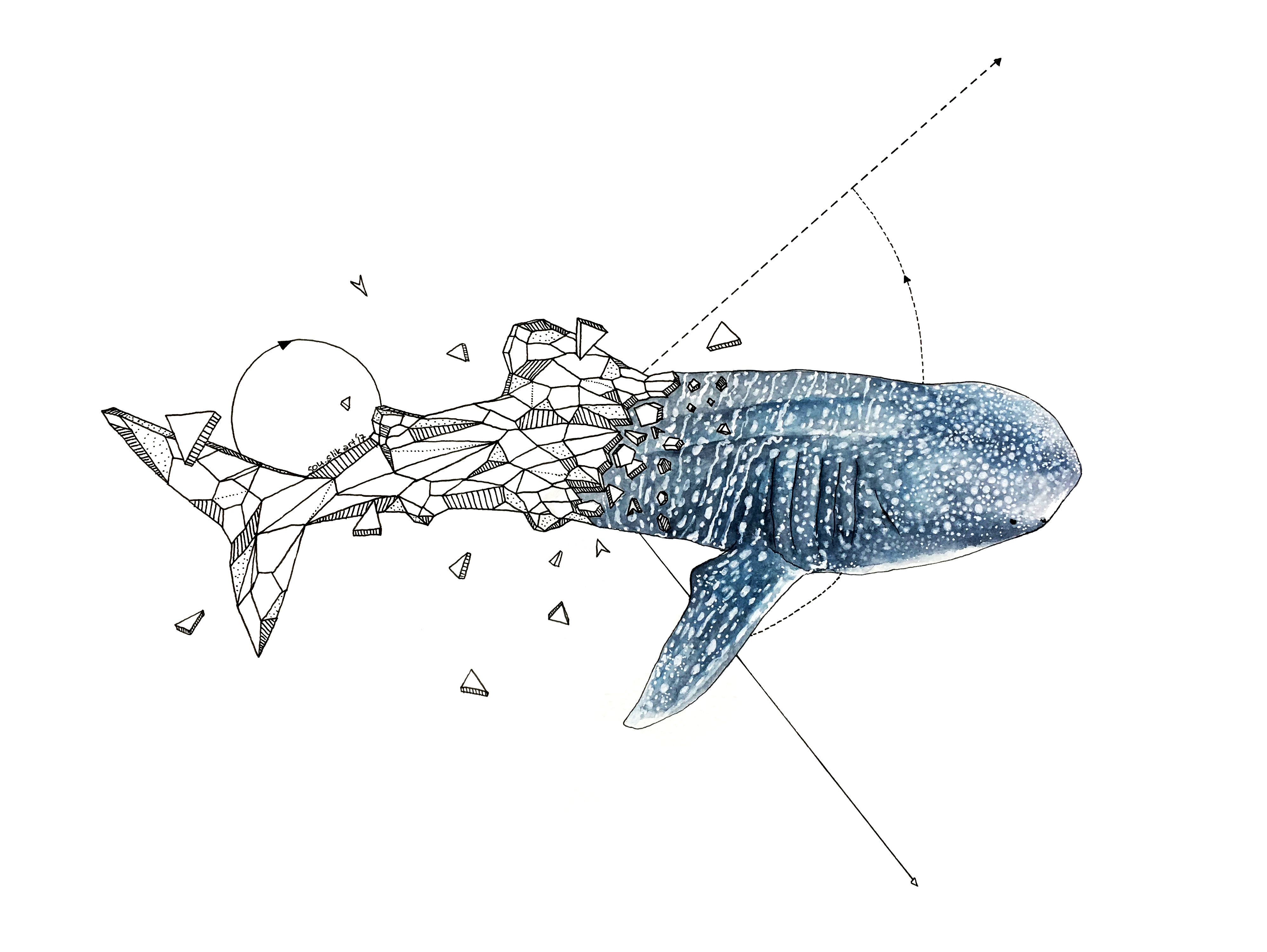 A-Z Whale Shark Art Print – Red Parka